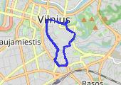 Trasa z dnia 2019-02-07 20:50 - mapa trasy gps - spacer