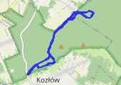 Trasa z dnia 2019-03-16 13:32 - mapa trasy gps - marsz