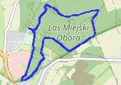Trasa z dnia 2019-03-19 17:27 - mapa trasy gps - marsz