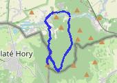 Pożegnanie zimy na Biskupiej Kopie - mapa trasy gps - marsz