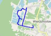  Podgórze Bocheńskie - lasy Wierzchosławicko Radłowskie 2019-03-31 - mapa trasy gps - rower górski