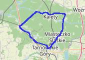 Trasa z dnia 2019-05-01 13:13 - mapa trasy gps - rower szosowy