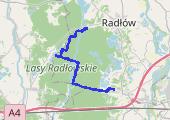  Podgórze Bocheńskie - lasy Wierzchosławicko Radłowskie 2019-05-01 - mapa trasy gps - rower górski