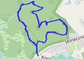 Trasa z dnia 2019-05-03 12:54 - mapa trasy gps - marsz