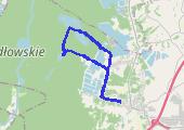 Podgórze Bocheńskie - lasy Wierzchosławicko Radłowskie 2019-05-12 - mapa trasy gps - rower górski