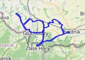 Szybowice, Głuchołazy, Biskupów, Kamienna Góra, Charbielin, Zlaté Hory i Pokrzywna - mapa trasy gps - rower górski
