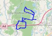 Podgórze Bocheńskie - lasy Wierzchosławicko Radłowskie 2019-05-19 - mapa trasy gps - rower górski