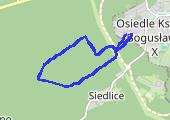 Trasa z dnia 2019-05-21 19:08 - mapa trasy gps - nordic walking