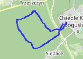 Trasa z dnia 2019-05-23 18:53 - mapa trasy gps - nordic walking