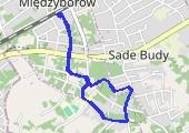 Trasa z dnia 2019-05-23 19:23 - mapa trasy gps - nordic walking