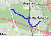Trasa z dnia 2019-05-30 09:08 - mapa trasy gps - bieganie