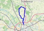 Trasa z dnia 2019-06-01 15:17 - mapa trasy gps - rower górski