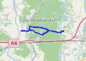 Podgórze Bocheńskie - lasy Wierzchosławicko Radłowskie 2019-06-02 - mapa trasy gps - rower górski