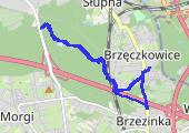 Trasa z dnia 2019-06-04 08:49 - mapa trasy gps - bieganie