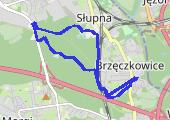 Trasa z dnia 2019-06-09 09:09 - mapa trasy gps - bieganie