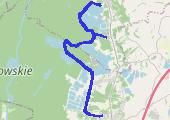 Podgórze Bocheńskie - lasy Wierzchosławicko Radłowskie 2019-06-09 - mapa trasy gps - rower górski