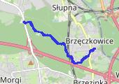 Trasa z dnia 2019-06-12 10:16 - mapa trasy gps - bieganie