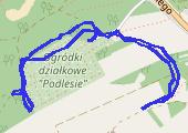 Trasa z dnia 2019-06-12 20:08 - mapa trasy gps - spacer