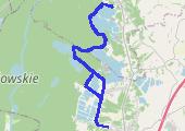 Podgórze Bocheńskie - lasy Wierzchosławicko Radłowskie 2019-06-16 - mapa trasy gps - rower górski