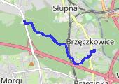 Trasa z dnia 2019-06-17 09:29 - mapa trasy gps - bieganie