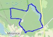 Kłodawa - Zamoksze - Kłodawa - mapa trasy gps - marsz