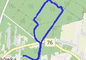 Trasa z dnia 2019-06-22 11:07 - mapa trasy gps - marsz