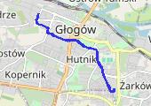 Trasa z dnia 2019-06-25 15:03 - mapa trasy gps - rower szosowy