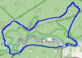 Trasa z dnia 2019-06-30 16:21 - mapa trasy gps - wędrówka