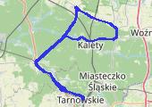 Trasa z dnia 2019-07-07 19:13 - mapa trasy gps - rower szosowy
