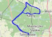 Trasa z dnia 2019-07-09 13:36 - mapa trasy gps - rower szosowy