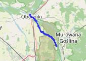 Trasa z dnia 2019-07-10 17:36 - mapa trasy gps - rower górski
