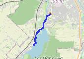8k - mapa trasy gps - bieganie