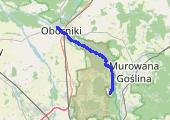 Trasa z dnia 2019-08-21 16:15 - mapa trasy gps - rower górski