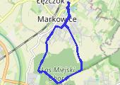 Trasa z dnia 2019-07-21 20:00 - mapa trasy gps - marsz