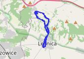 Trasa z dnia 2013-07-28 13:55 - mapa trasy gps - marsz