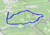 Trasa z dnia 2019-09-22 14:05 - mapa trasy gps - bieganie