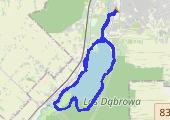 15k long run - mapa trasy gps - bieganie