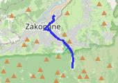 Z Kuźnic - mapa trasy gps - samochód
