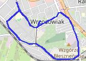 Trasa z dnia 2019-11-26 20:58 - mapa trasy gps - marsz