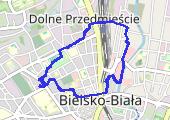 Move_2019_11_19_12_21_32_Chodzenie - mapa trasy gps - marsz