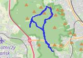 Trasa z dnia 2019-11-28 11:52 - mapa trasy gps - bieganie