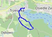 Trasa z dnia 2019-12-08 14:32 - mapa trasy gps - spacer