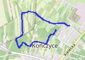Trasa z dnia 2019-12-15 12:55 - mapa trasy gps - marsz