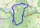 Biskupia Kopa poświątecznie - mapa trasy gps - marsz