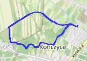 Trasa z dnia 2020-01-05 13:16 - mapa trasy gps - marsz