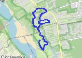 Trasa z dnia 2020-01-01 12:31 - mapa trasy gps - bieganie