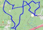 Trasa z dnia 2020-01-06 12:30 - mapa trasy gps - bieganie
