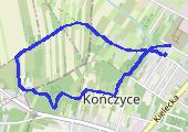 Trasa z dnia 2020-01-12 12:59 - mapa trasy gps - marsz