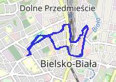 Move_2020_01_17_18_28_29_Chodzenie - mapa trasy gps - marsz