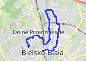 Move_2020_01_21_10_40_25_Chodzenie - mapa trasy gps - marsz